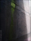 babu salissure mur 20080625