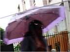 vv parapluie mauve 20080707