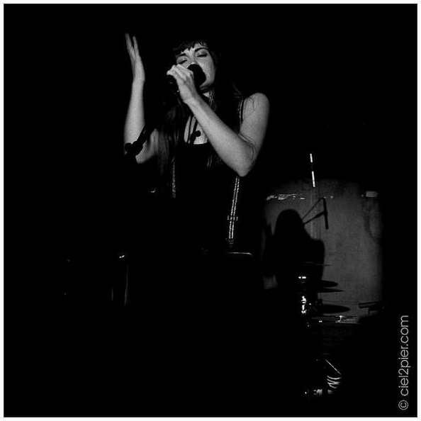 st_phoebe_kildeer_la_bellevilloise2.jpg