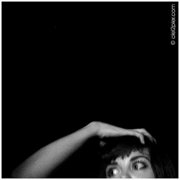 st_phoebe_killdeer_la_bellevilloise.jpg