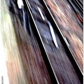 babu train01